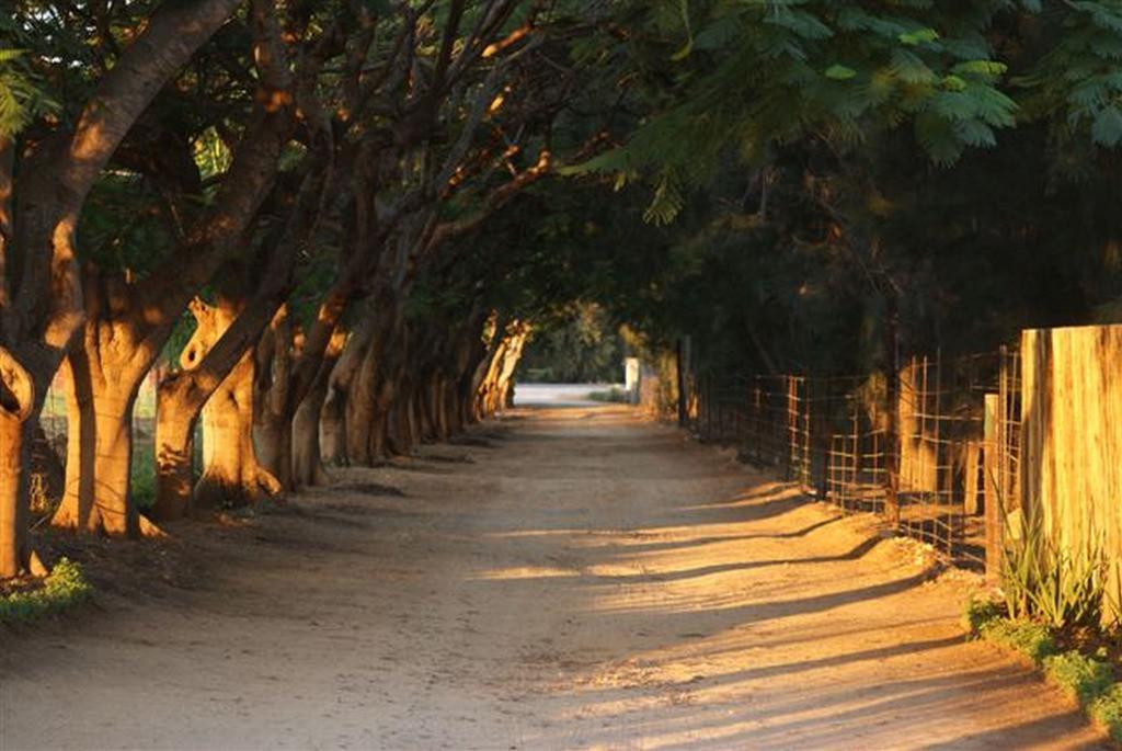 Blyde Mountain Country House โฮดสปรูท ภายนอก รูปภาพ